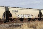 NS 296838